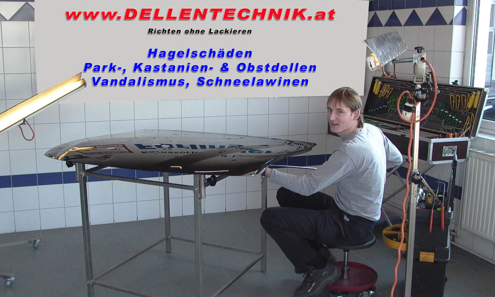 Martin Brunner Dellenteam-Mitglied: Martin Brunner