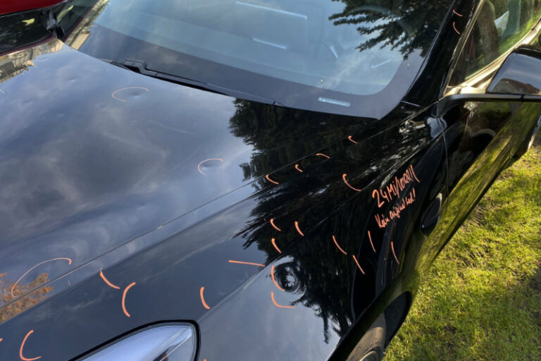 Hagelschadenfoto (Symbol), Dellenteam